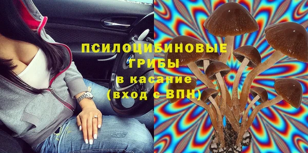 дживик Балахна