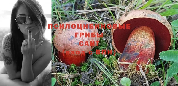 ешки Аркадак