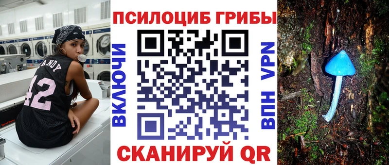 где купить   Данков  Псилоцибиновые грибы GOLDEN TEACHER 